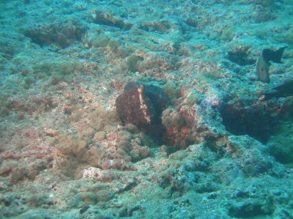 DSC00800.JPG