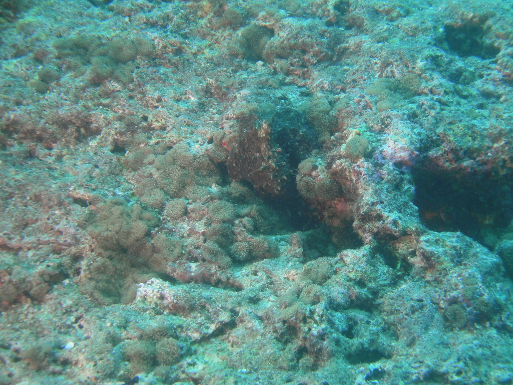DSC00801.JPG