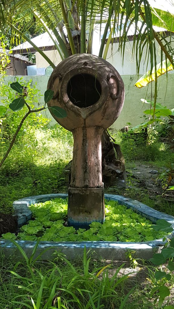 DSC00818-8.jpg