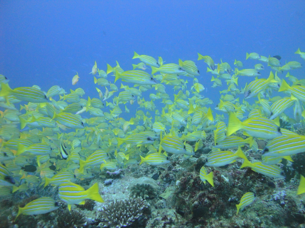 DSC00822.JPG