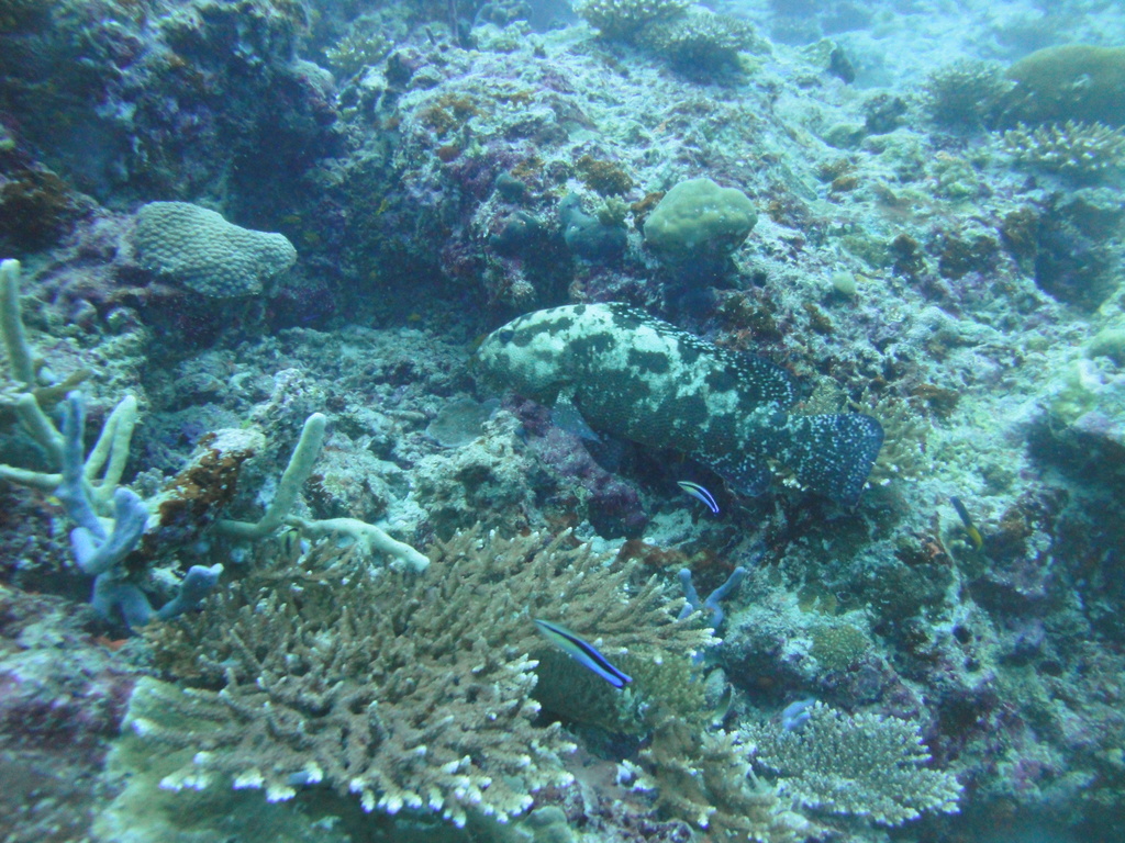 DSC00827.JPG