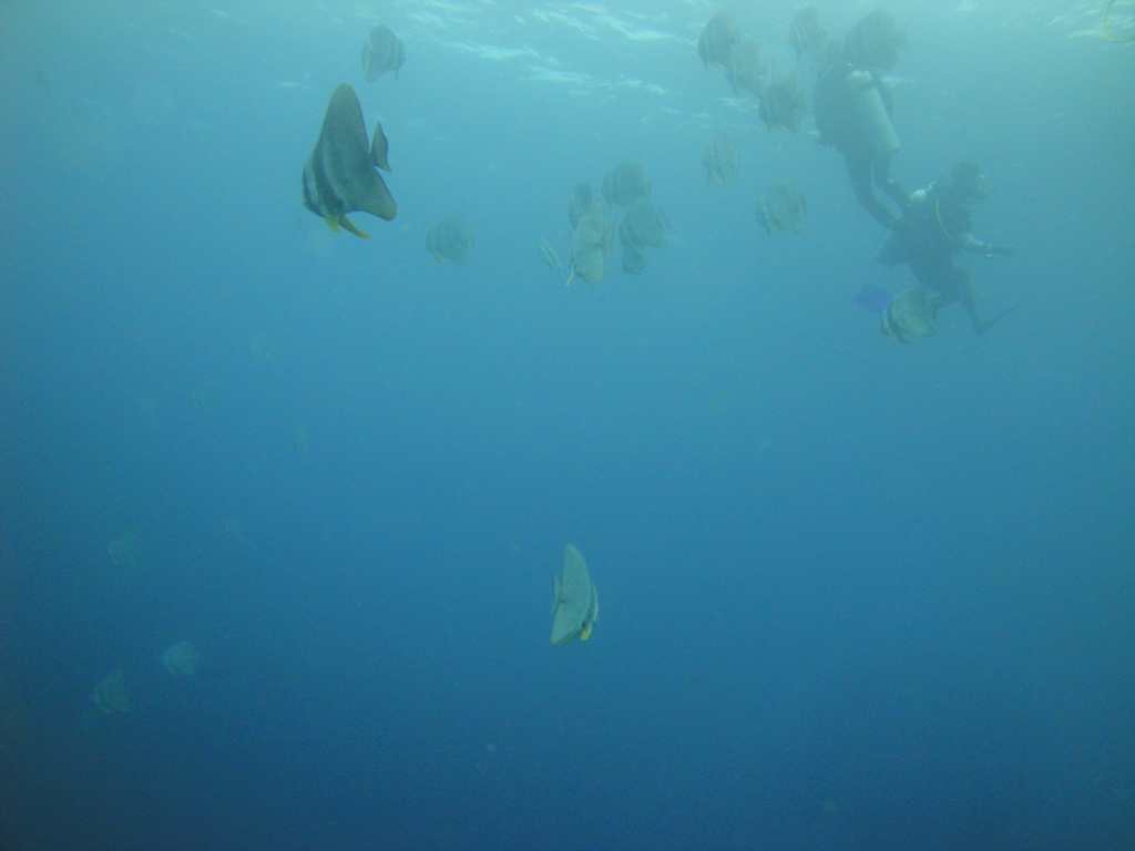 DSC00832.JPG