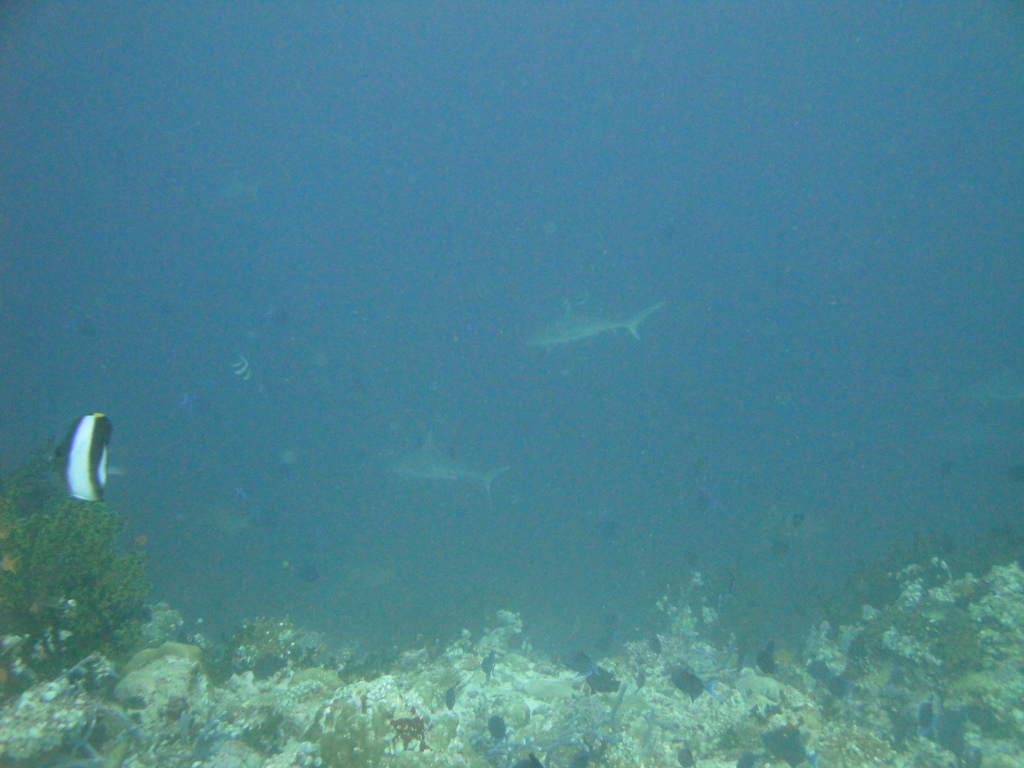 DSC00851.JPG