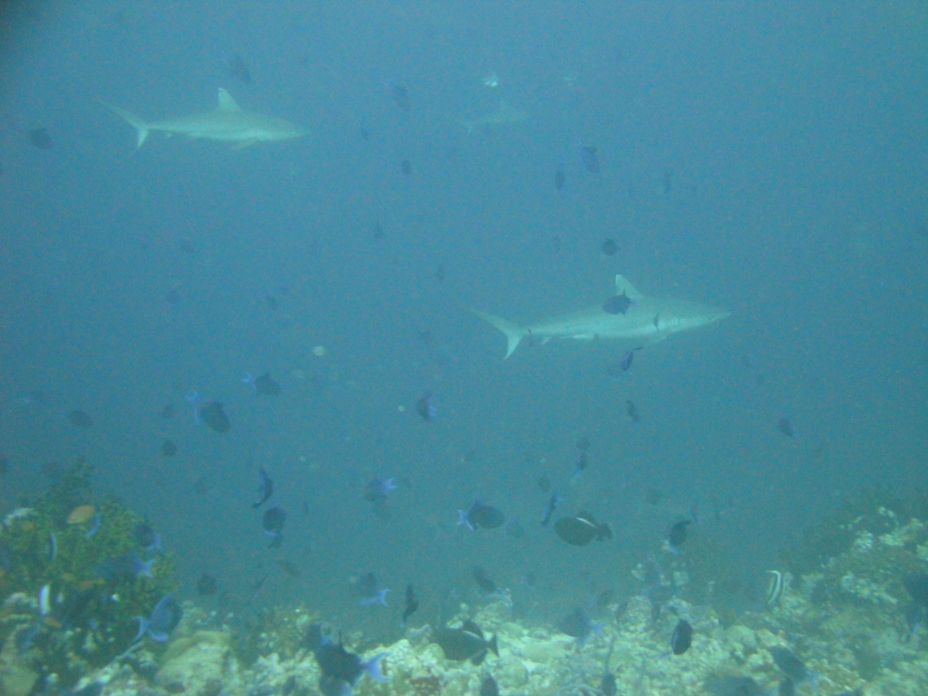 DSC00854.JPG