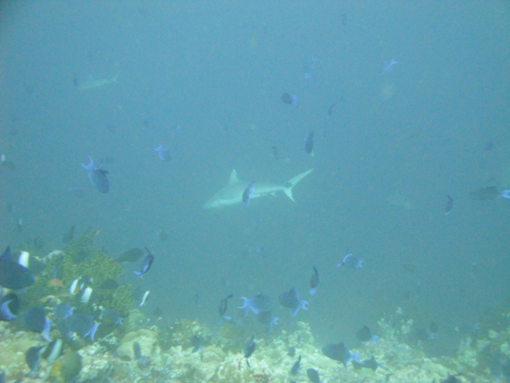 DSC00855.JPG