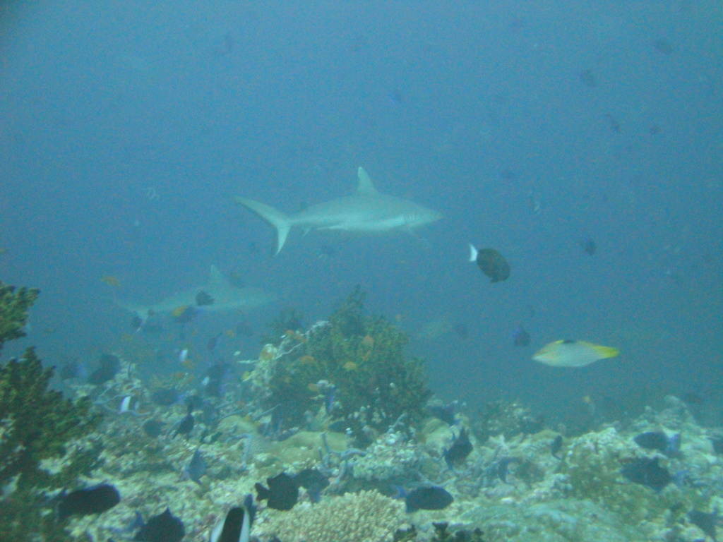 DSC00857.JPG