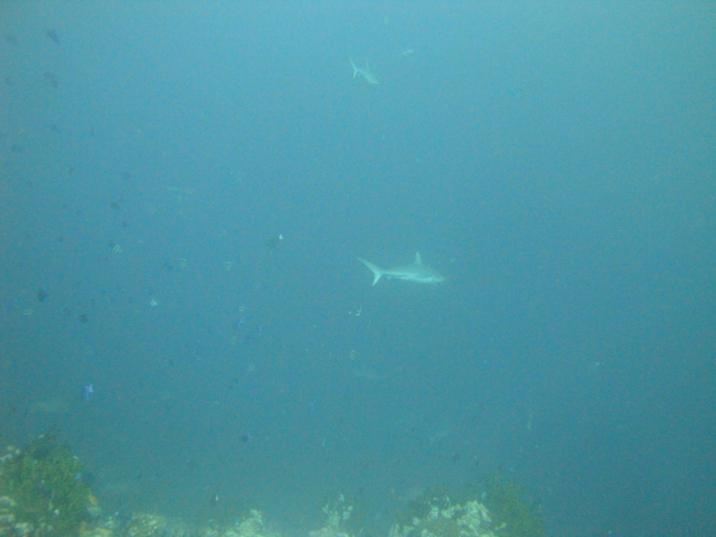 DSC00861.JPG
