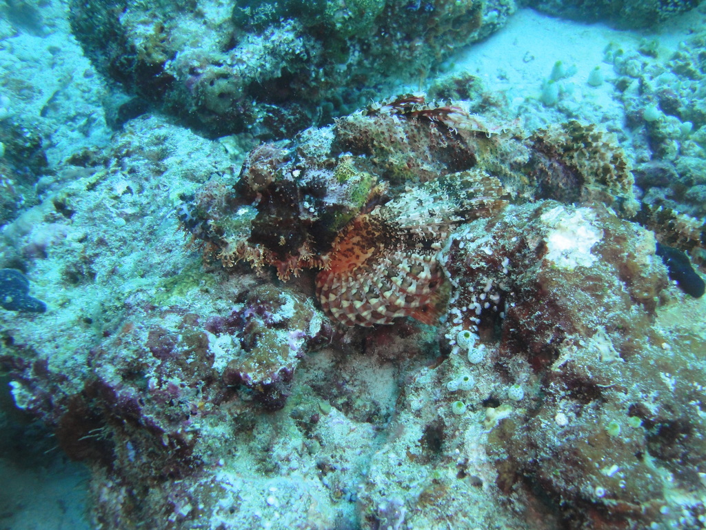 DSC00872.JPG