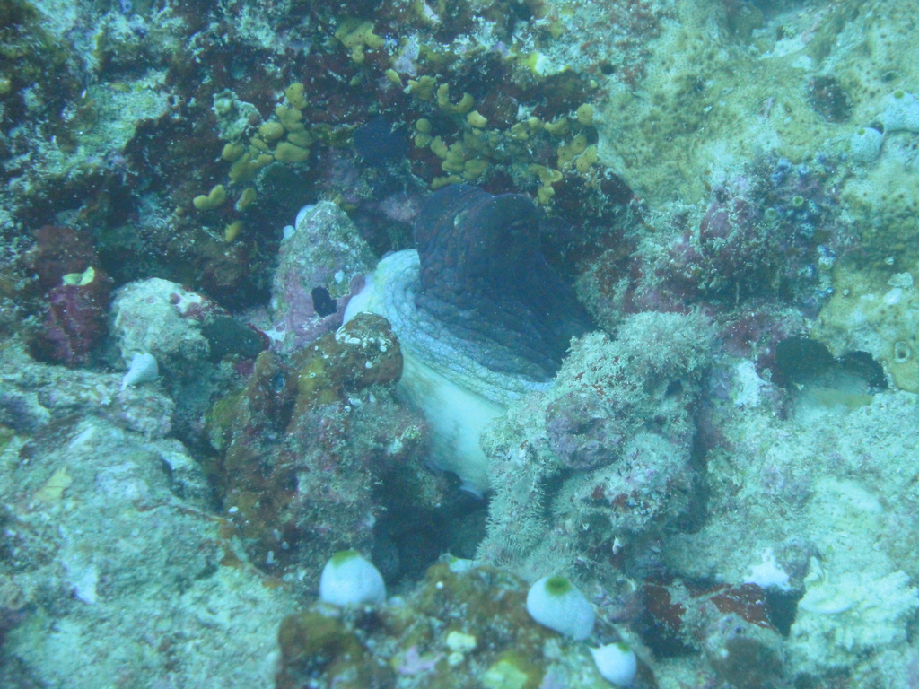 DSC00876.JPG