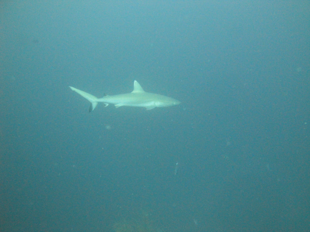 DSC00884.JPG