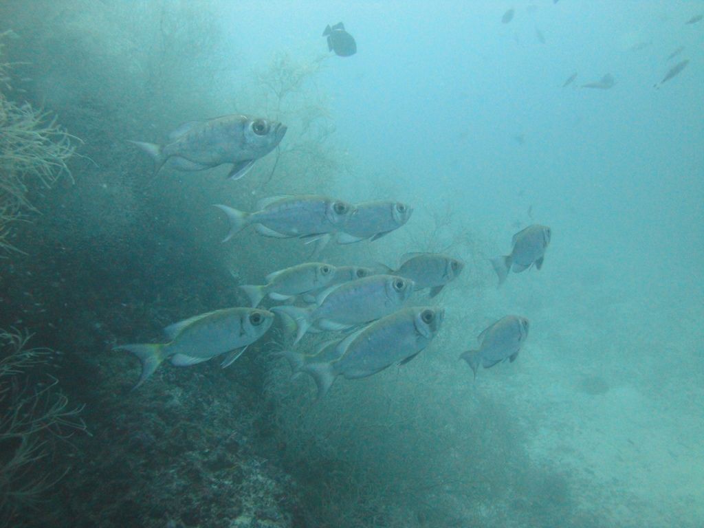 DSC00886.JPG