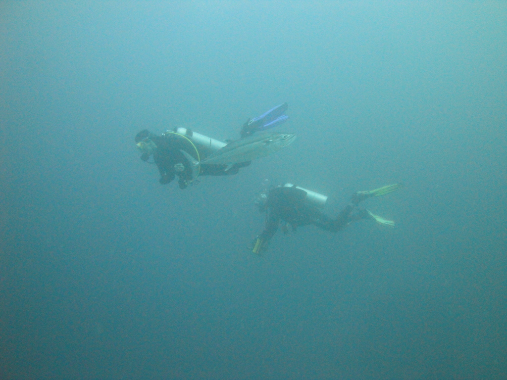 DSC00887.JPG