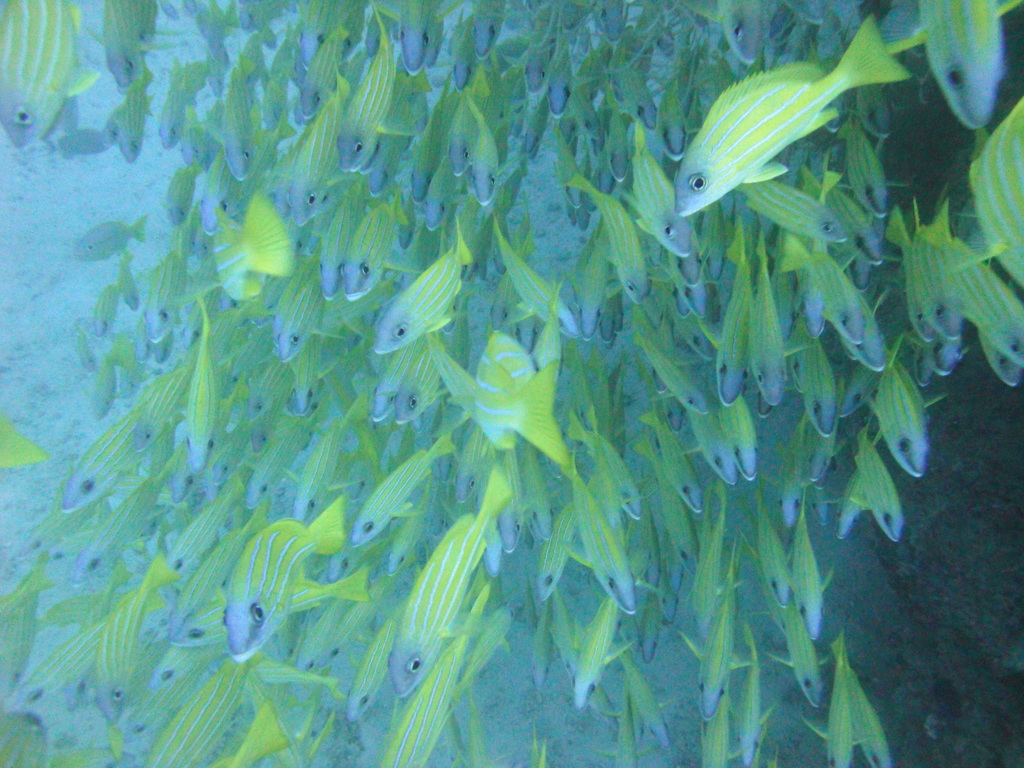 DSC00889.JPG