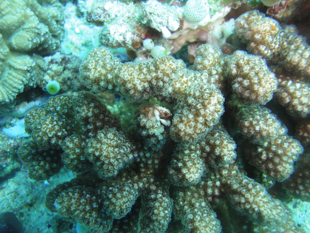 DSC00903.JPG