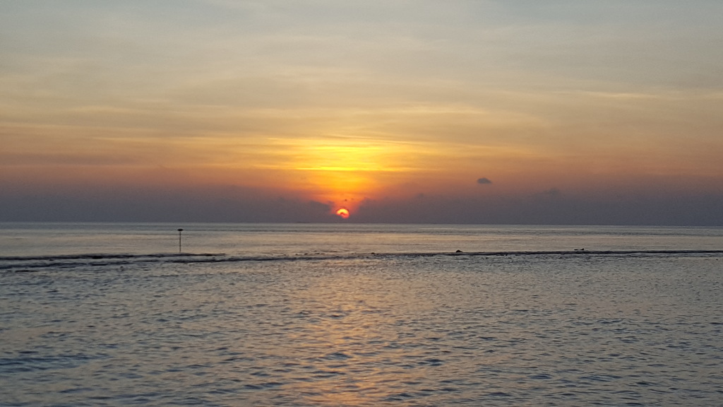 DSC00905-2.jpg