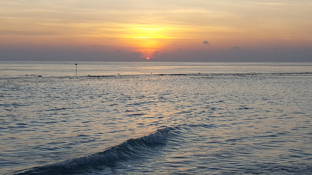 DSC00905-4.jpg