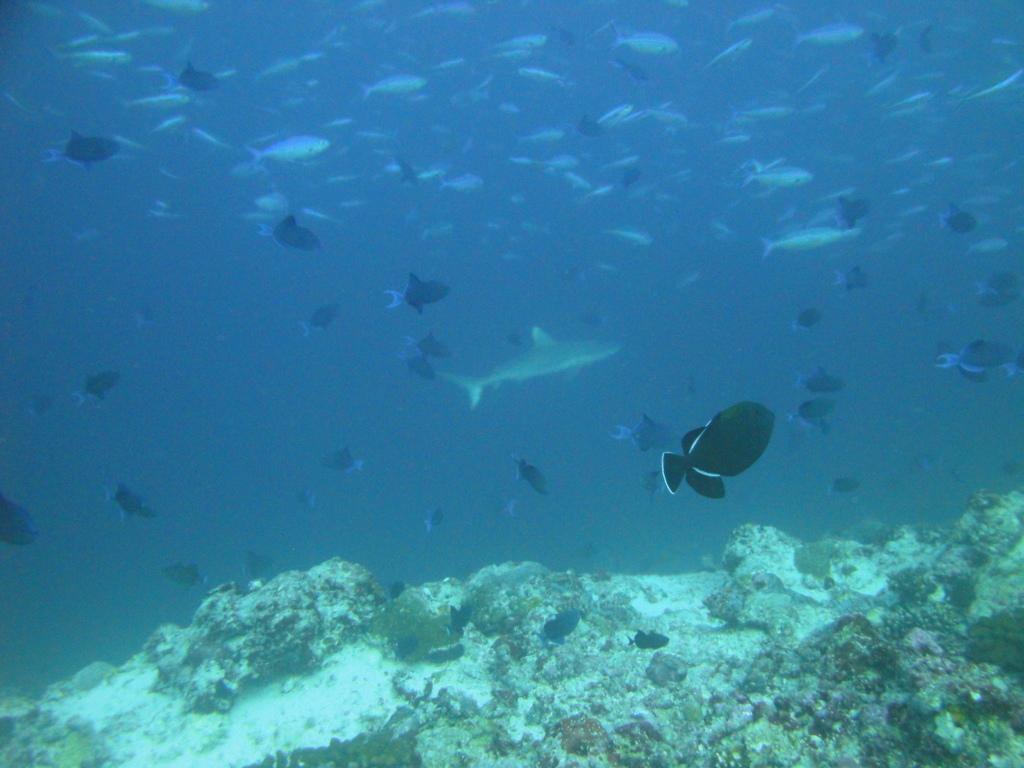 DSC00911.JPG
