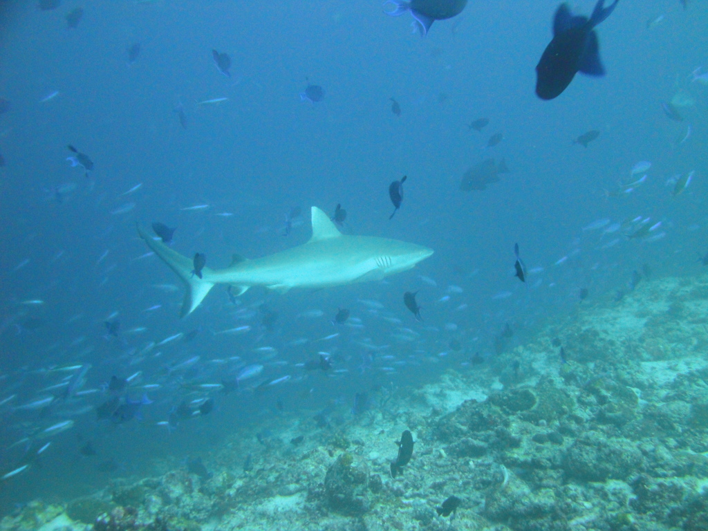 DSC00913.JPG