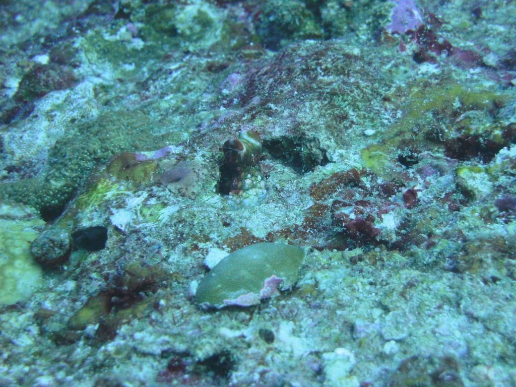 DSC00926.JPG