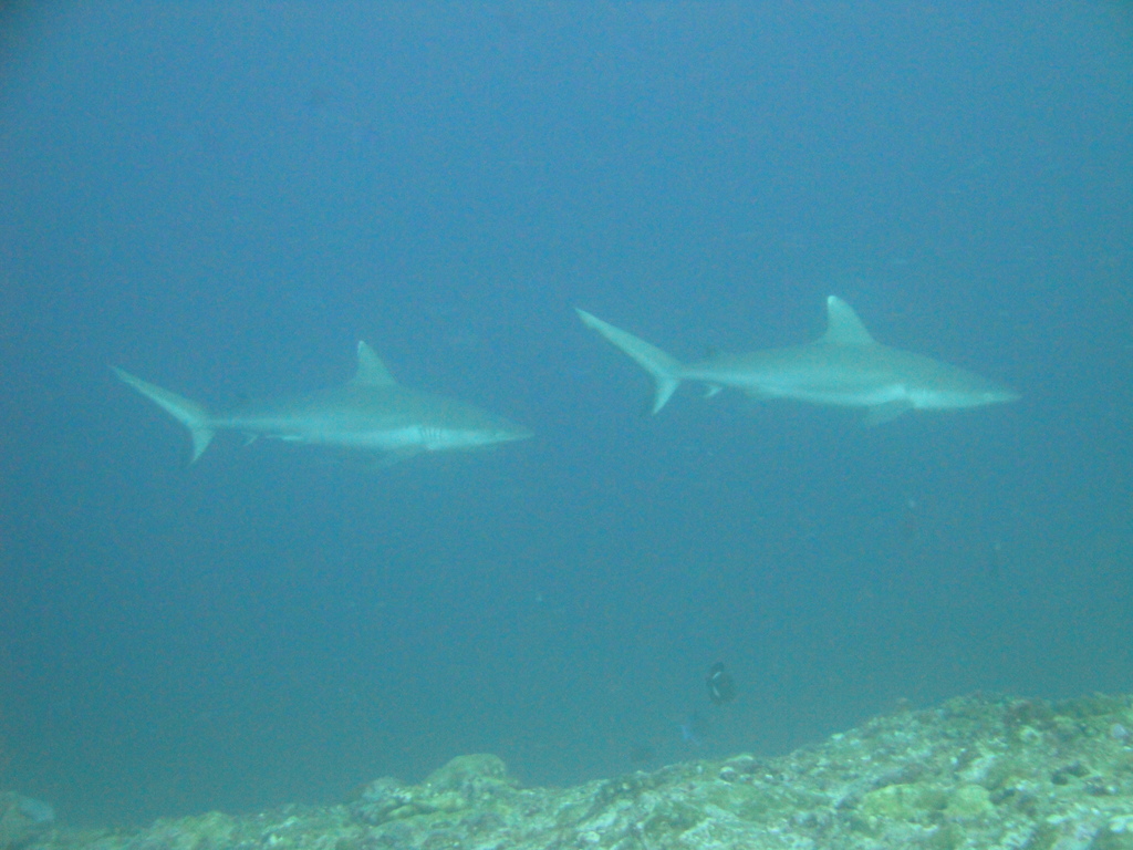 DSC00940.JPG