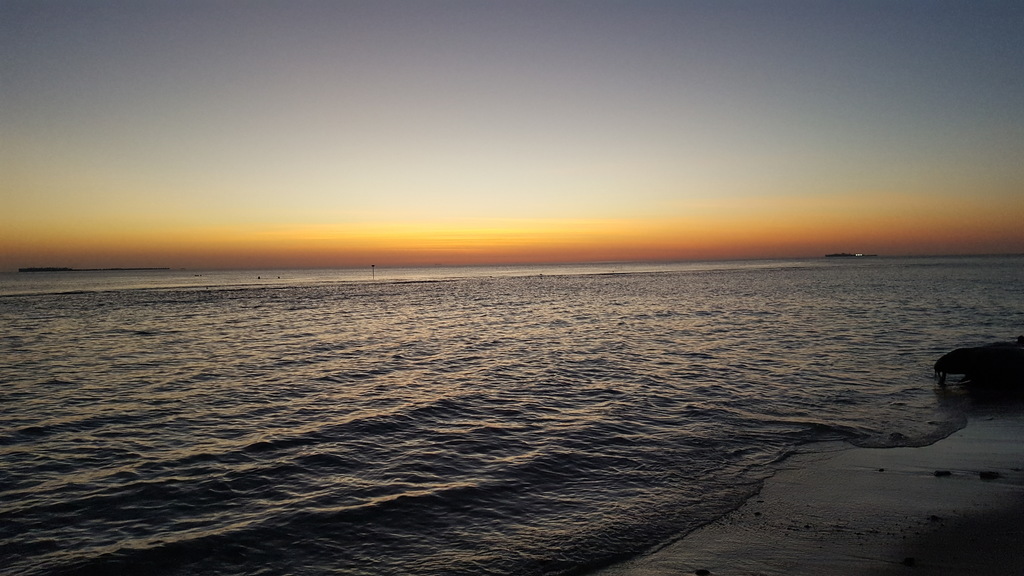 DSC00956-8.jpg
