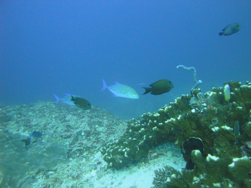 DSC00966.JPG