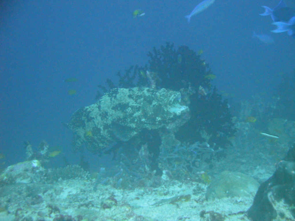 DSC00968.JPG