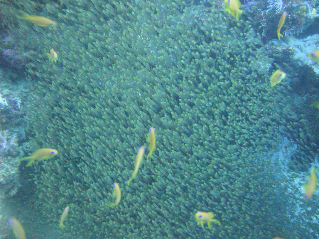 DSC00982.JPG