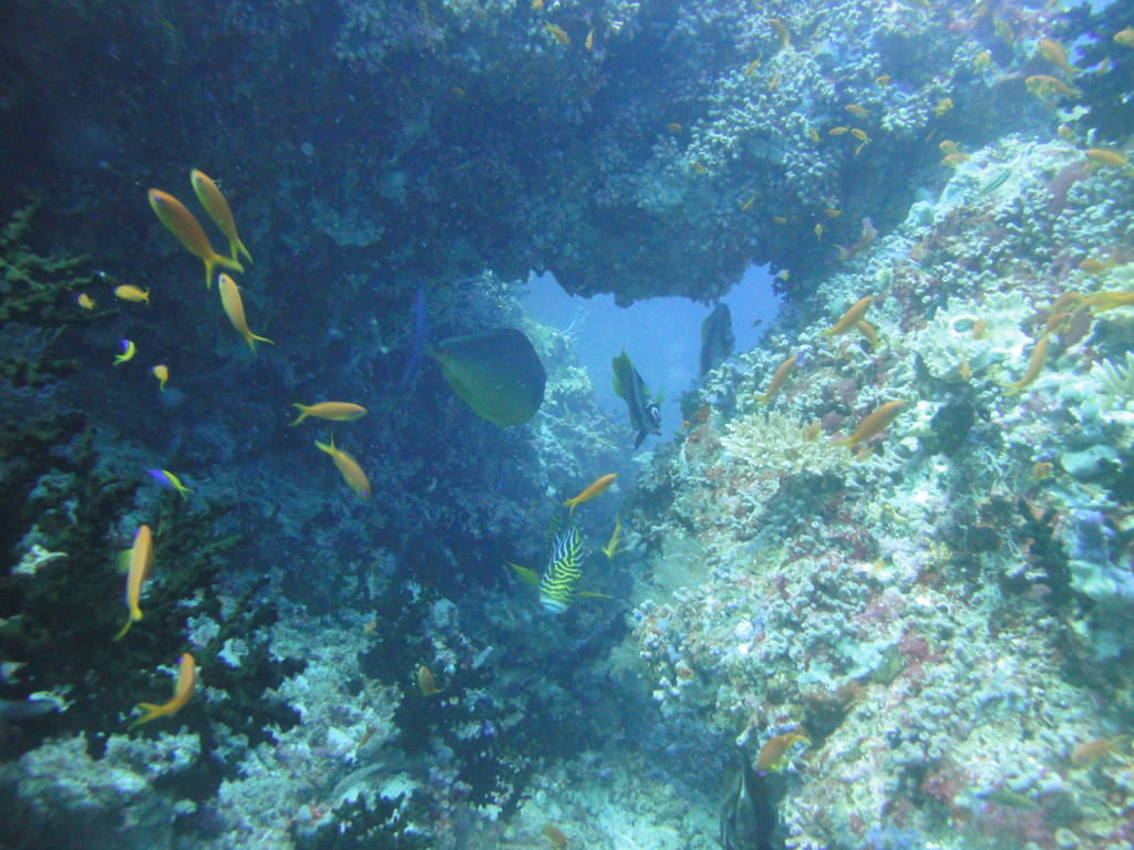 DSC00988.JPG