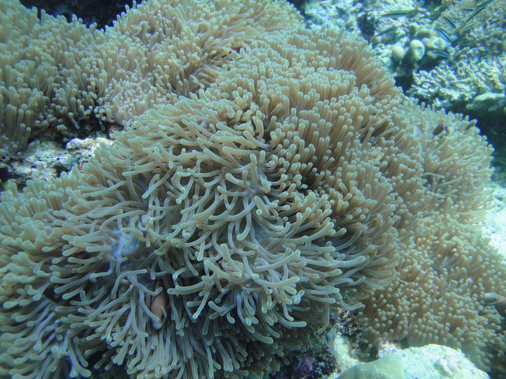 DSC01012.JPG