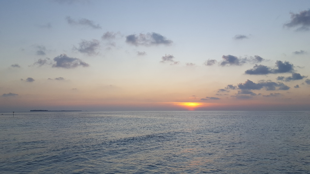 DSC01013-10.jpg