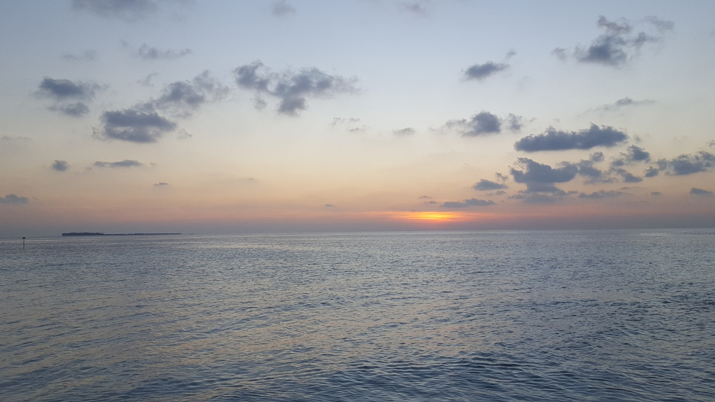 DSC01013-12.jpg