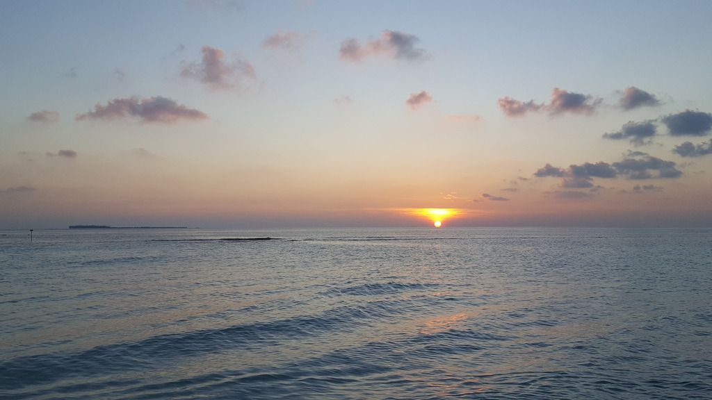 DSC01013-4.jpg