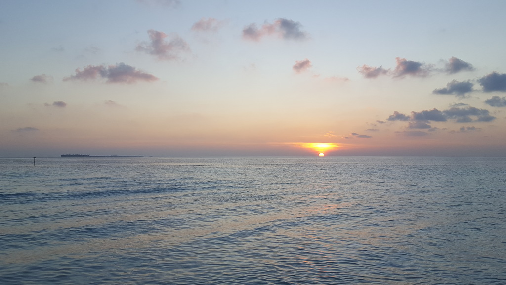 DSC01013-5.jpg