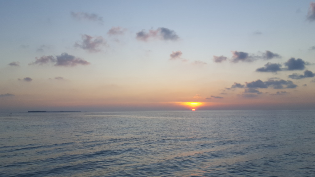DSC01013-7.jpg