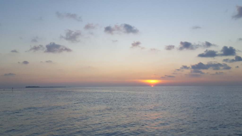DSC01013-8.jpg