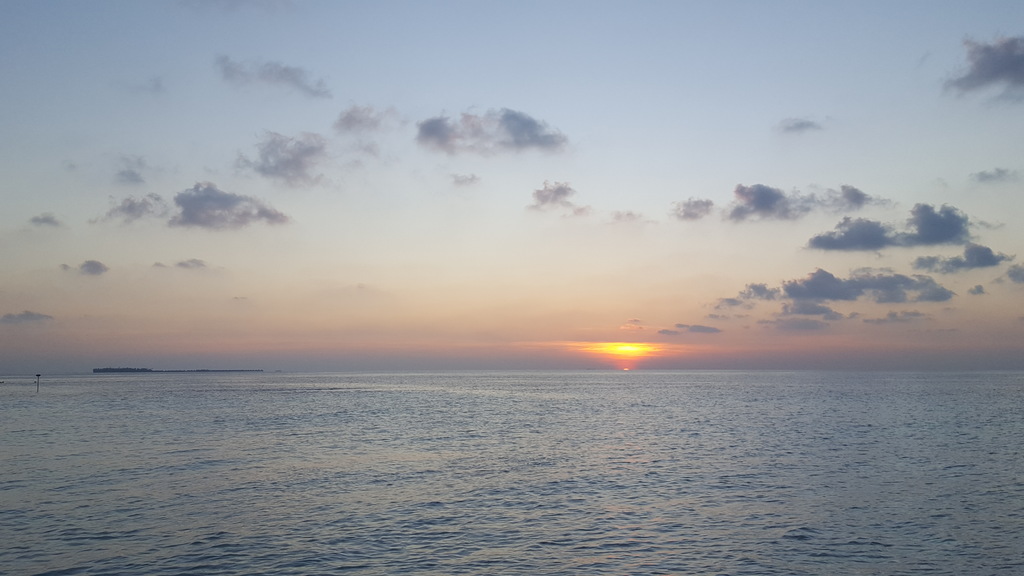 DSC01013-9.jpg