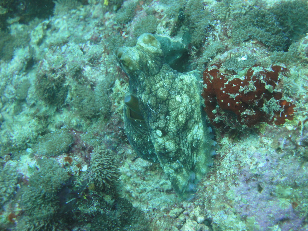 DSC01034.JPG
