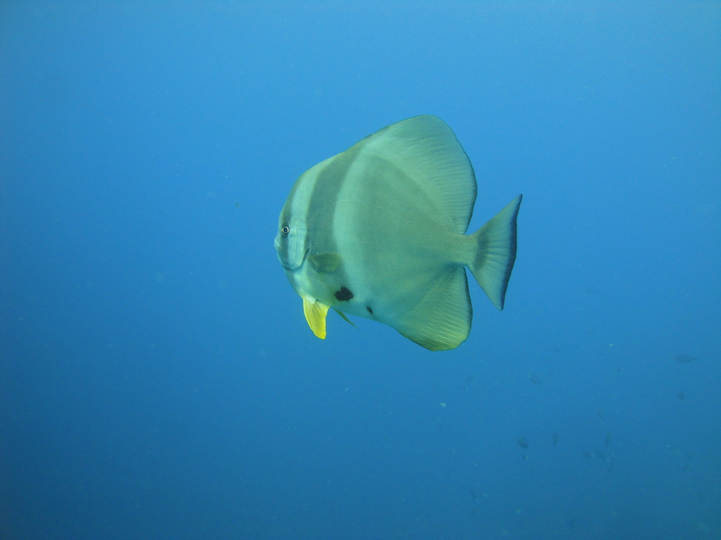 DSC01047.JPG
