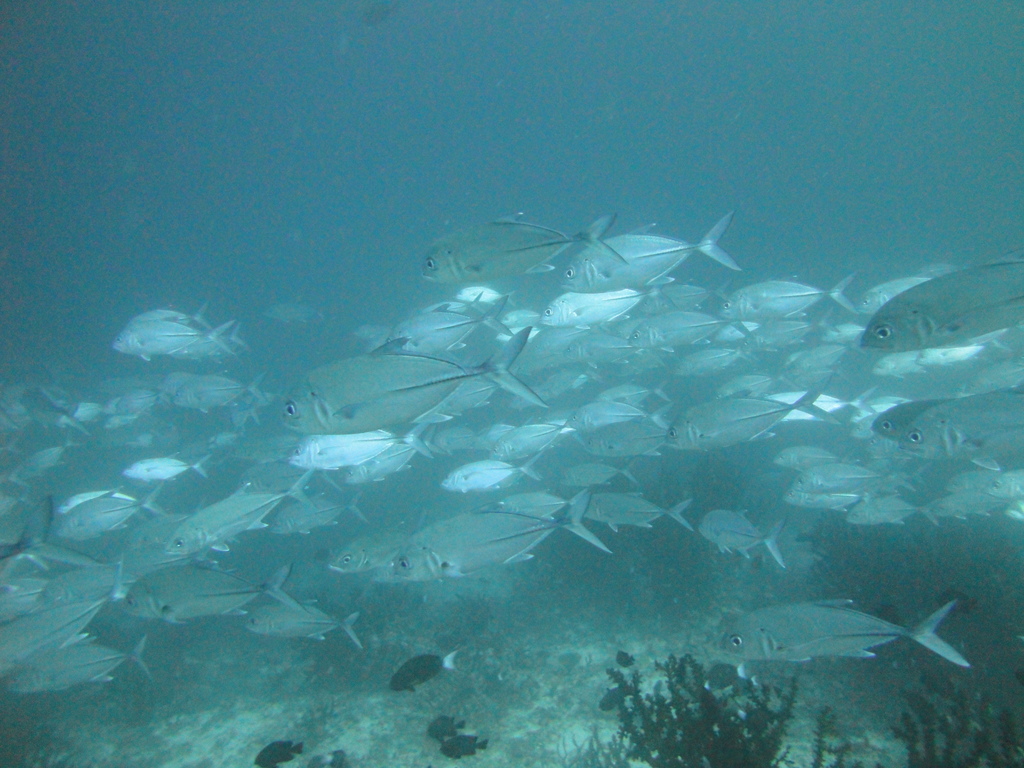 DSC01062.JPG