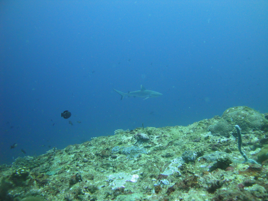 DSC01095.JPG