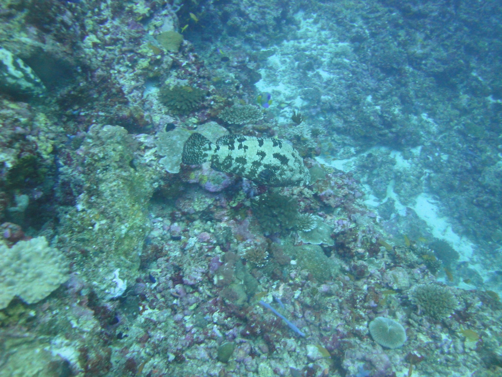 DSC01101.JPG