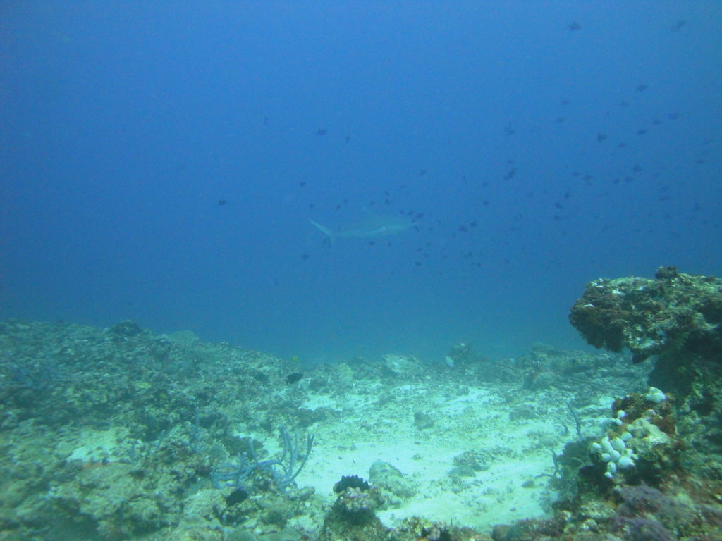 DSC01116.JPG
