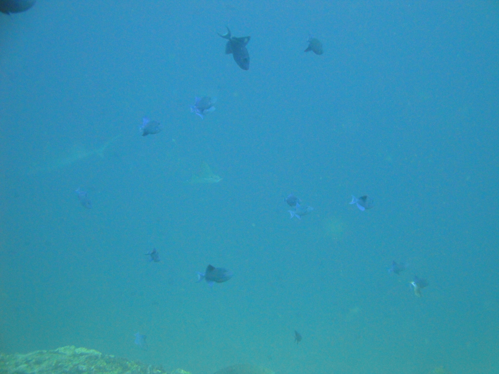 DSC01118.JPG