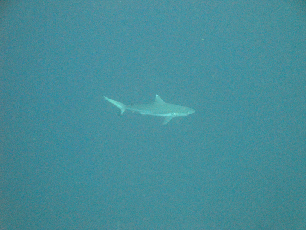 DSC01119.JPG