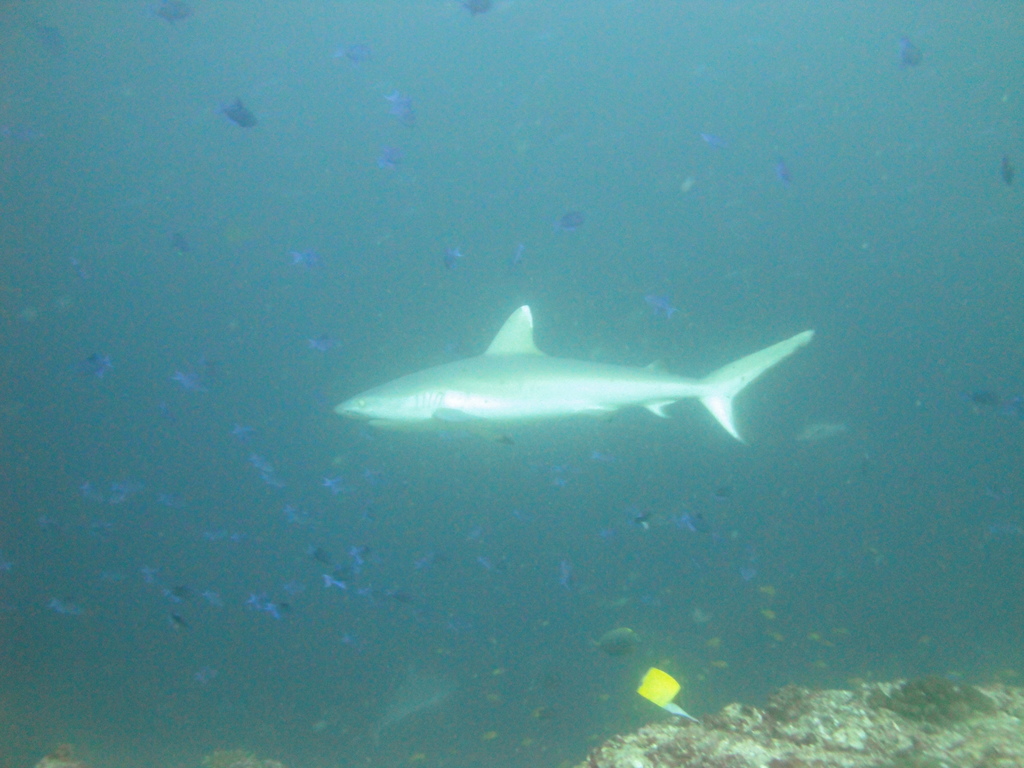 DSC01138.JPG
