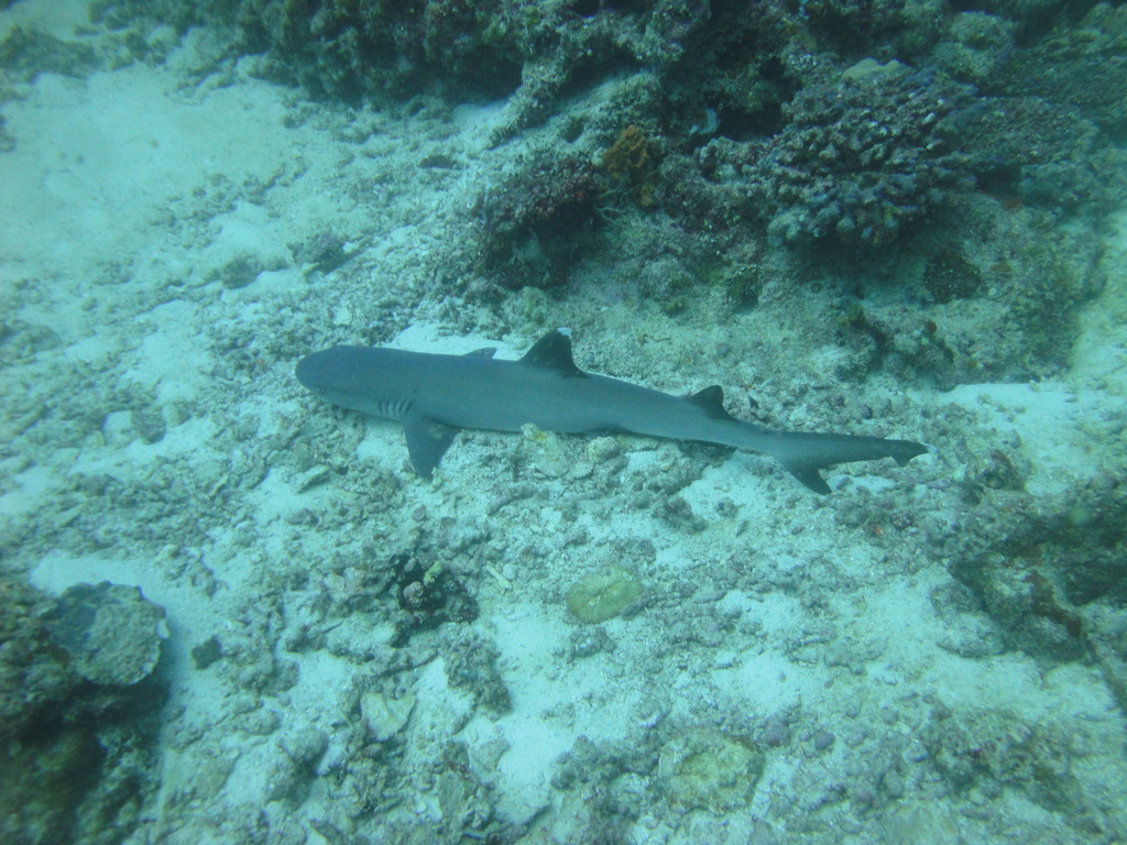 DSC01155.JPG