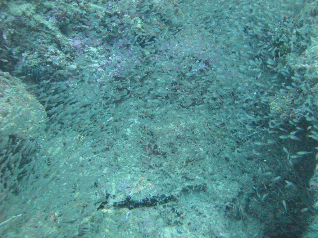 DSC01159.JPG