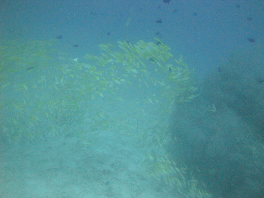 DSC01165.JPG