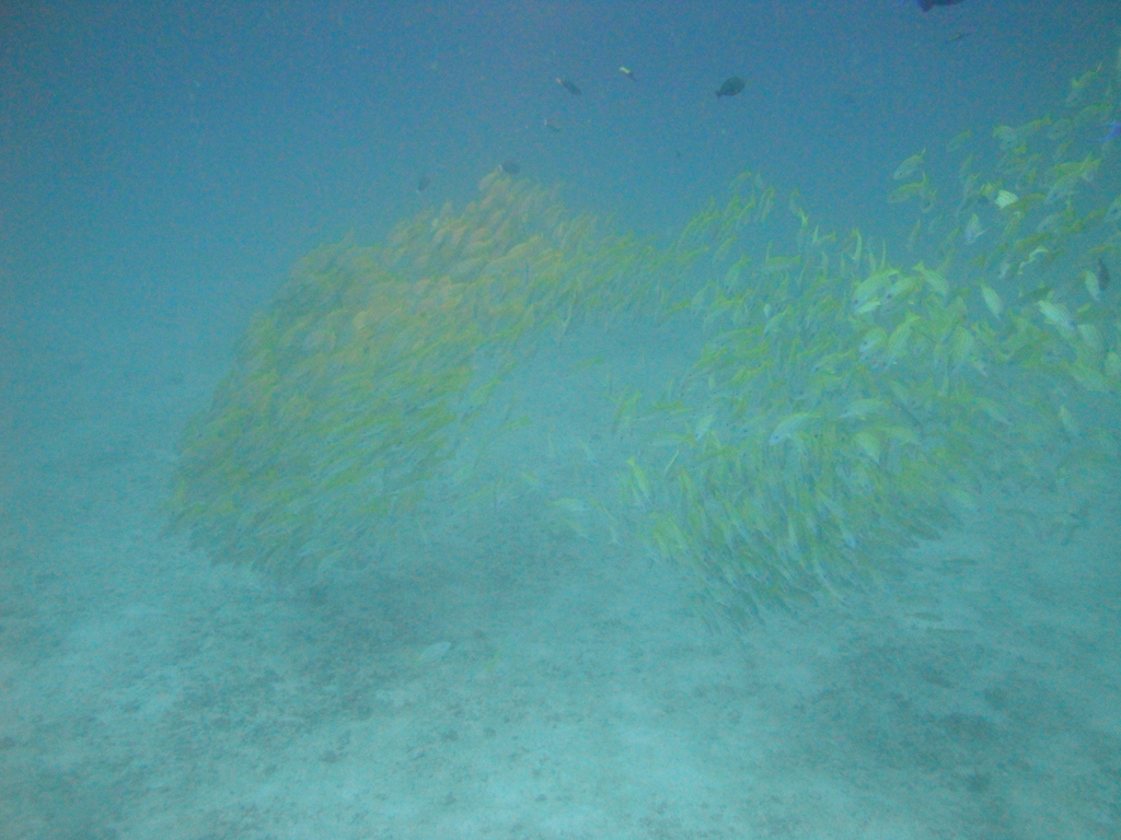 DSC01166.JPG